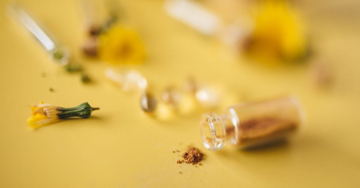 Close-up of yellow herbal powder and dried flowers on a warm-toned surface, representing natural medicinal compounds under scientific investigation