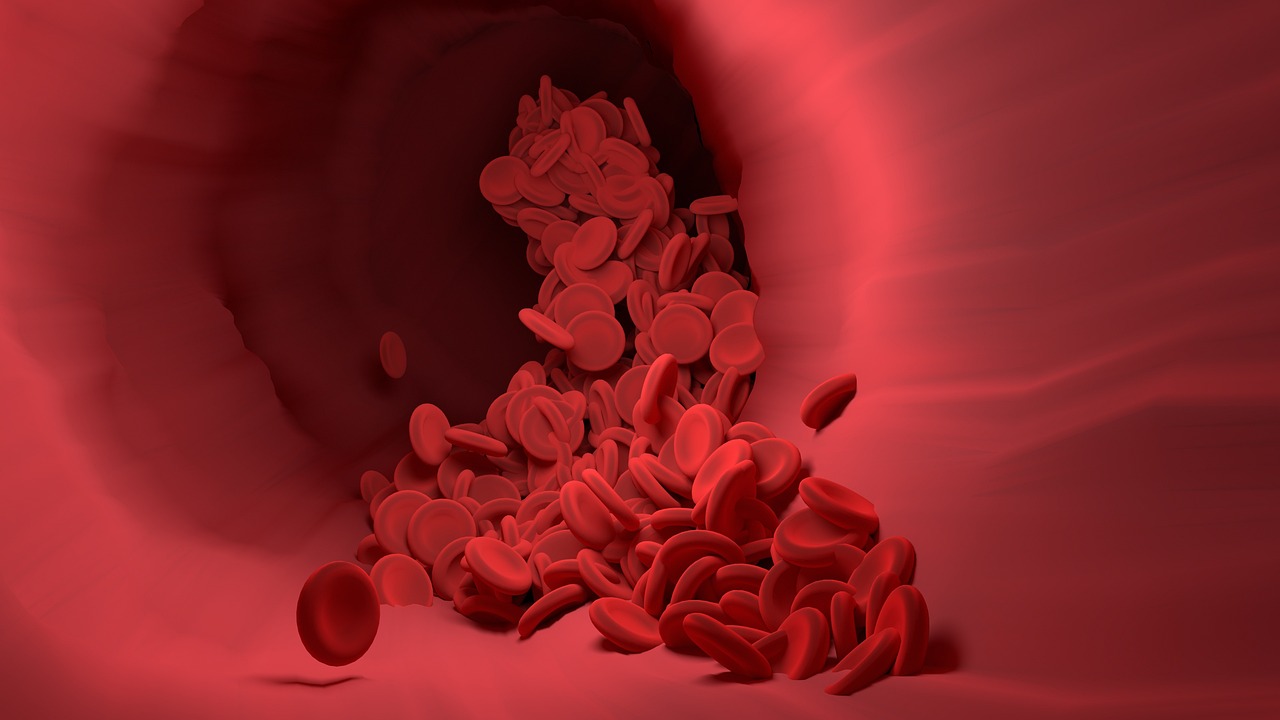 3D render of red blood cells flowing through a blood vessel, representing vascular health and circulation