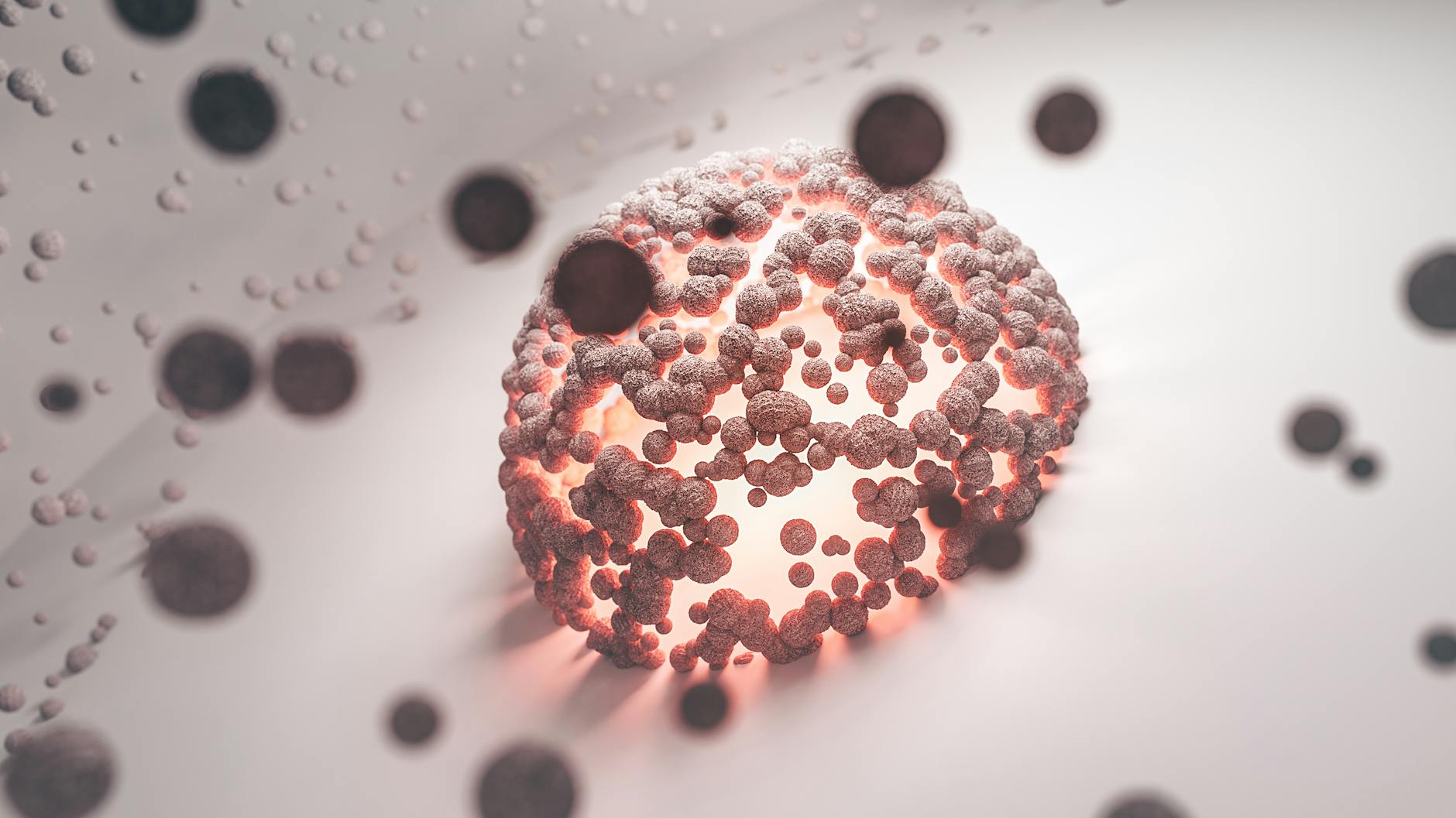 A mouse study puts gut particles at the center of aging