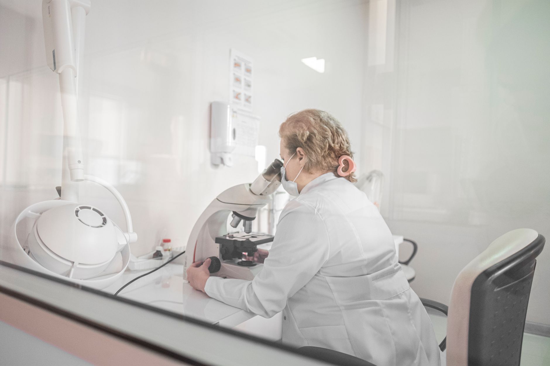 Laboratory fertility work image